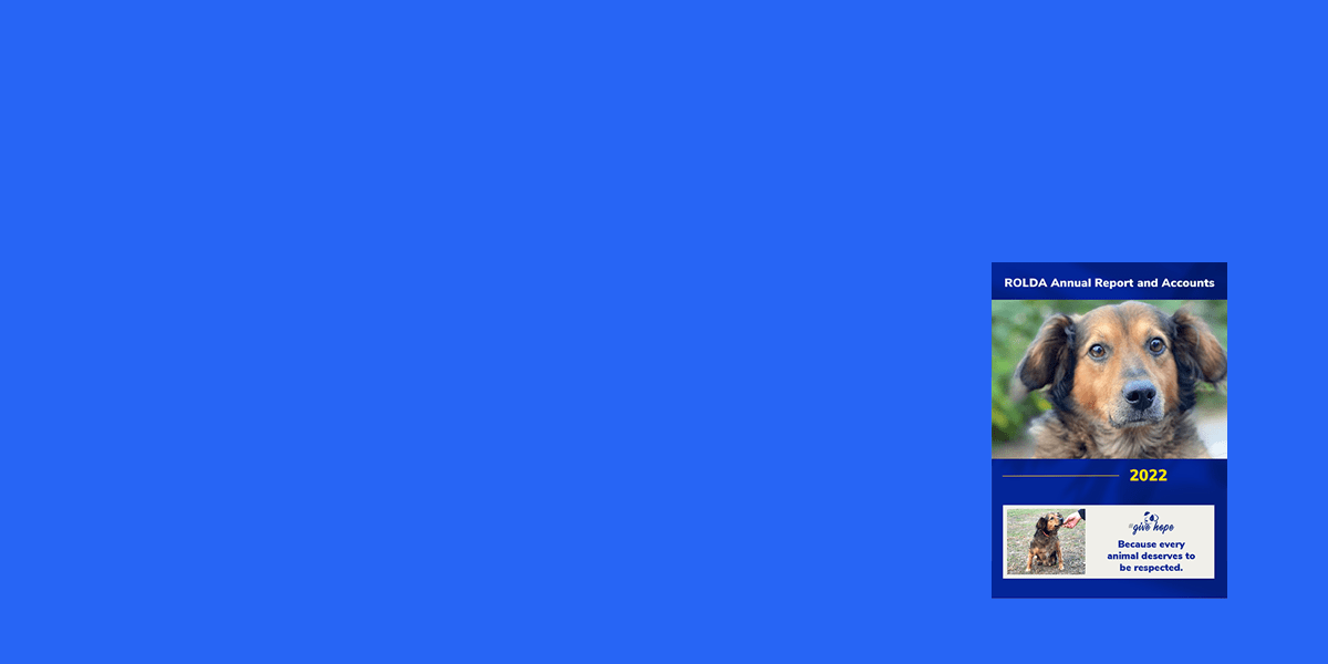 Check our latest reports